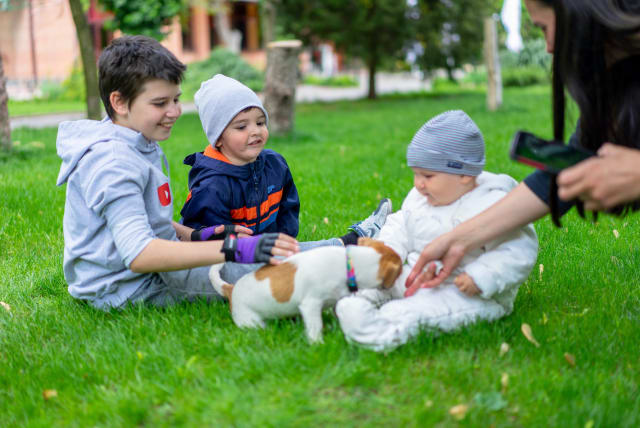  Children playing with a dog.  (photo credit: PEXELS)