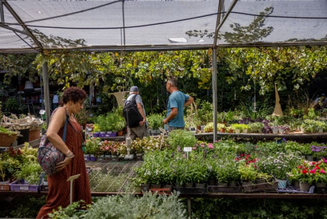  People shop for plants at Giant Tamar Plant nursery in Jerusalem, on September 2, 2021 (photo credit: YONATAN SINDEL/FLASH90)