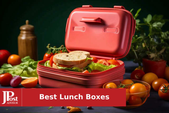 10 Best Lunch Box Utensils for 2023