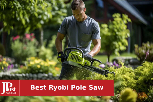 Best Pole Saws 2024 - Gas, Electric, and Manual Pole Saw Reviews