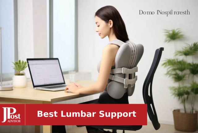 Fortem Seat Cushion and Lumbar Support