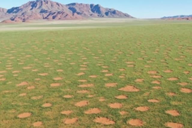  Fairy circles in Namibia (photo credit: Courtesy)