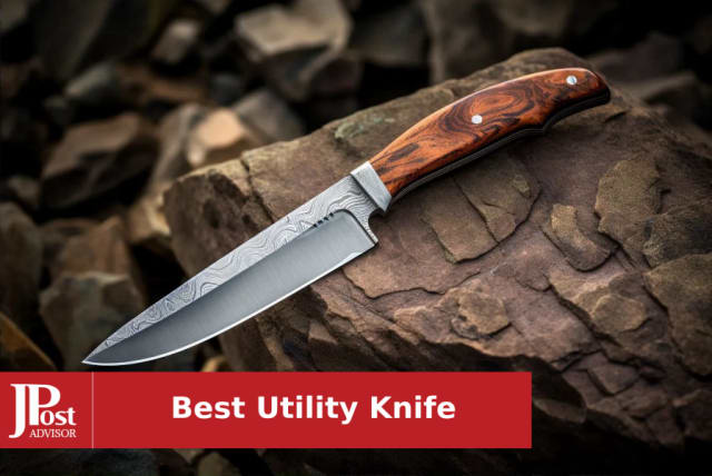 11 Best Kitchen Utility Knives In 2023, According To Experts