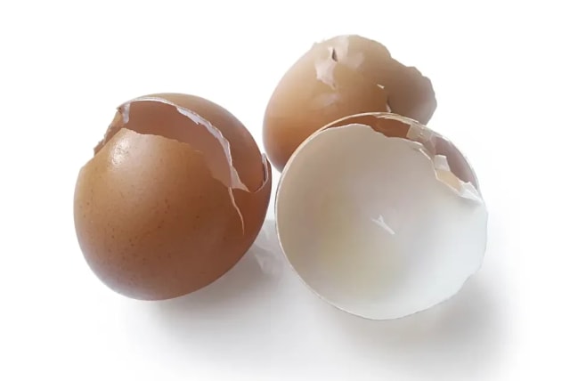  Do not throw away the eggshells - there is something to be done with them (photo credit: INGIMAGE)