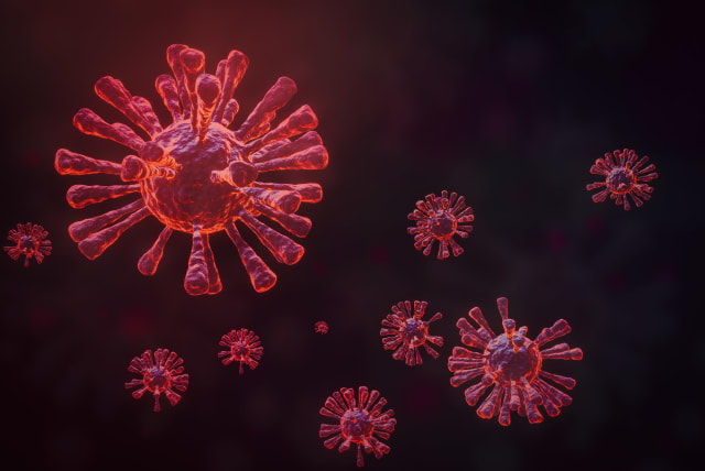  A 3D rendering of the novel coronavirus that causes COVID-19. (photo credit: INGIMAGE)