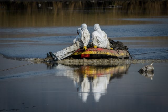 Workers from the Agriculture Ministry in protective gear retrieving dead cranes who were infected with the Avian Influenza (bird flu) from the Hula Lake in the Hula Valley Nature Reserve, northern Israel, January 2, 2022. (photo credit: MORAZ BROM/FLASH90)