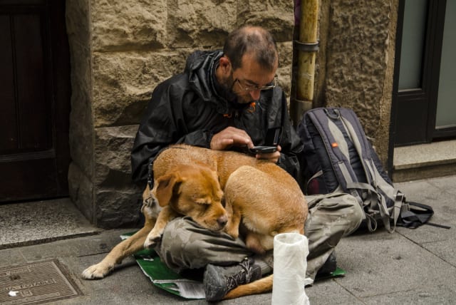 Homeless man and his dog, illustrative (photo credit: PICKPIK)