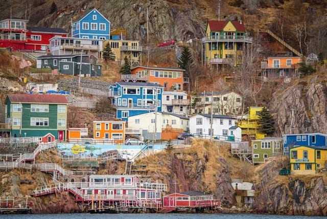  Newfoundland. (photo credit: RAWPIXEL)