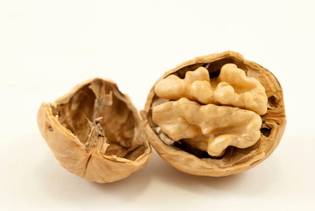 Walnuts (photo credit: INGIMAGE)