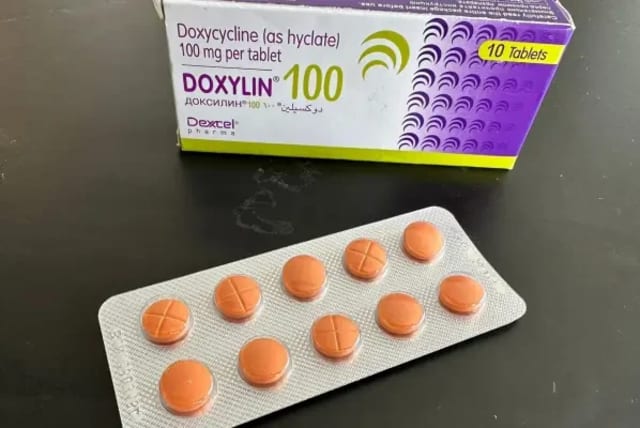  Doxylin (photo credit: Dr. Itay gal)