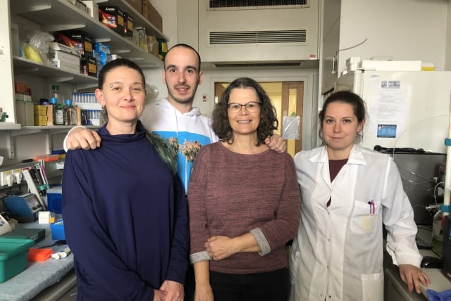  Prof. Ayelet David's lab team (from right to left): Marie Rütter, Yvonne Ventura, Nenad Milošević and Valeria Feinstein. (photo credit: Private album)