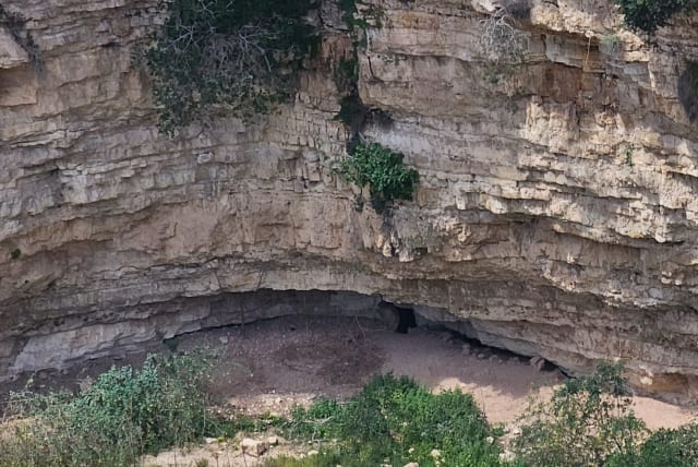  A cave where ticks live. (photo credit: Courtesy Bnai Zion Medical Center)