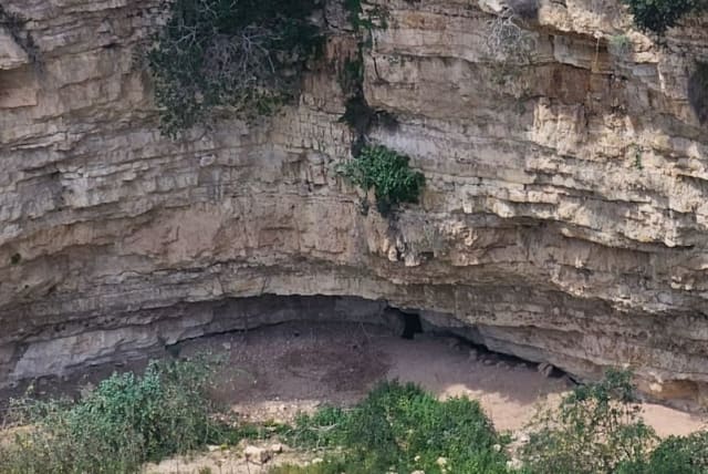  Una cueva donde viven garrapatas. (photo credit: Courtesy Bnai Zion Medical Center)