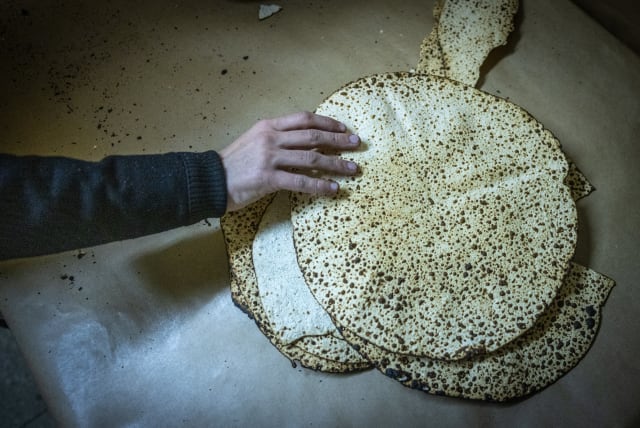  Ultra Orthodox Jews prepare Matza, traditional unleavened bread eaten during the 8-day Jewish holiday of Passover, in Jerusalem on April 9, 2024. (photo credit: CHAIM GOLDBEG/FLASH90)