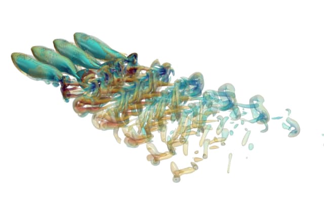  illustration of a moving school of fish (photo credit: JOHNS HOPKINS)
