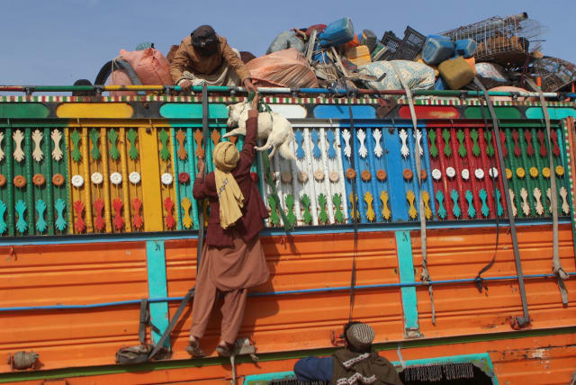  An Afghan man transports a pet dog onto a truck loaded with belongings, as they head back to Afghanistan, after Pakistan gave a final warning to undocumented immigrants to leave, at the Friendship Gate of Chaman Border Crossing along the Pakistan-Afghanistan Border in Balochistan Province, in Chama (photo credit: REUTERS)