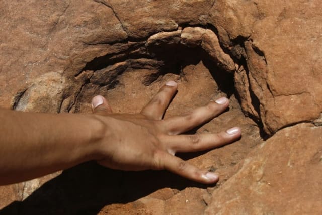  El paleontólogo aficionado boliviano Omar Medina mete la mano en una huella de dinosaurio en la zona de Tunasniyoj. (photo credit: DAVID MERCADO/REUTERS)