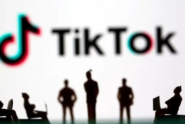  tiktok In Chinese society, they intend to fight (illustration)  (photo credit: REUTERS)