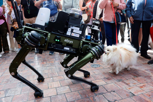  A dog named Lucy, 4, smells a police robot dog aimed at helping enforce traffic laws for E-scooters, during its presentation to the media, in Malaga, southern Spain March 19, 2024. (photo credit: REUTERS/JON NAZCA)