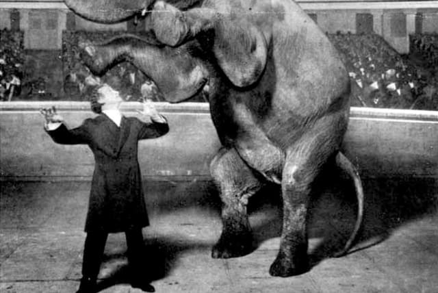 HOUDINI and Jennie the Vanishing Elephant, 1918 (see Tuesday). (photo credit: WIKIPEDIA COMMONS)