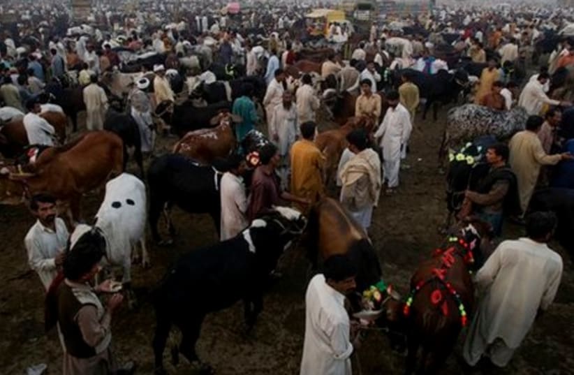 gallery_Pakistan eid al adha gathering
