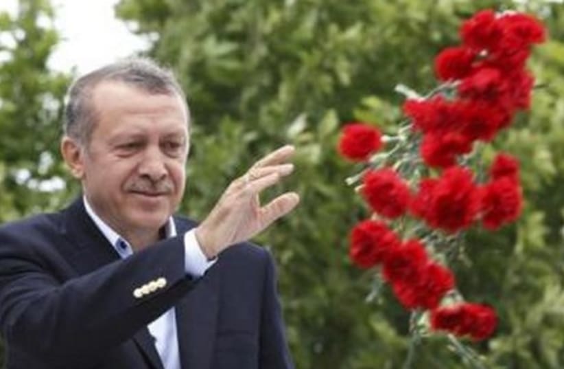 Tayyip Erdogan catching flowers  311 