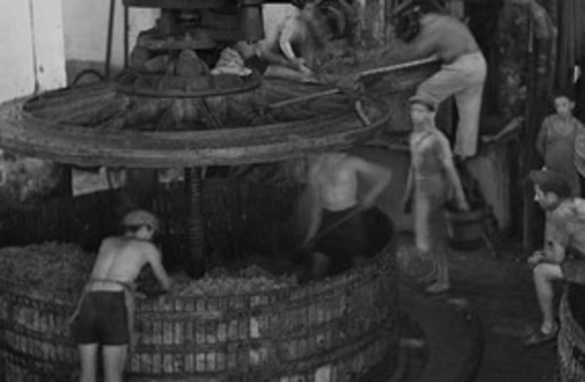 Wine press in Zichron, 1939