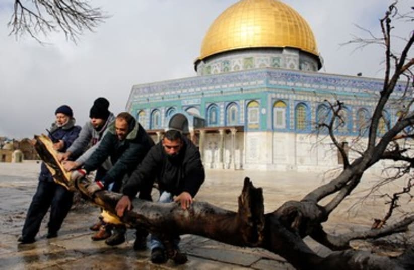 Arabs clear Temple Mount of fallen trees