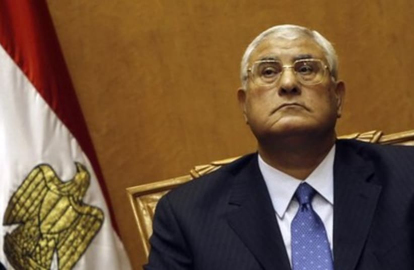 Egypt's Interim President, Adli Mansour390