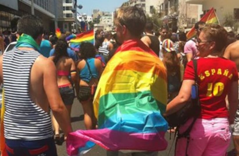 The annual Gay Pride Parade in Tel Aviv, June 13, 2014.
