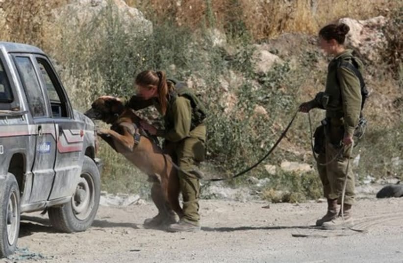 IDF soldiers operating in Hebron