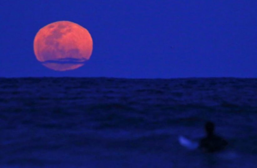 A surfer sits on his board as a supermoon rises in the sky off Manly Beach in Sydney